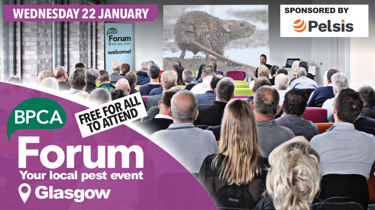 forum glasgow hero forum glasgow hero